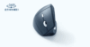 SANWA Mouse