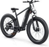 UDON BEEMONE Electric Bike: 1000w Brushless Motor