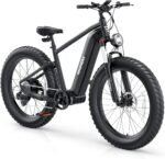 UDON BEEMONE Electric Bike: 1000w Brushless Motor