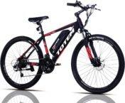 Totem Electric Bike: Mountain Tires, 350W Motor