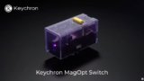 Logitech’s HITS Tech Faces New Competition from Magnetic Switch Rivals